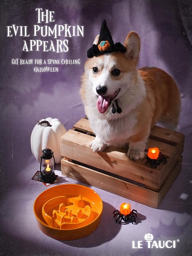 LE TAUCI Ceramic Slow Feeder Dog Bowl for Medium & Large Dogs, 3 Cup Puzzle Food Dish to Slow Down Eating, Pumpkin Orange - Image 6