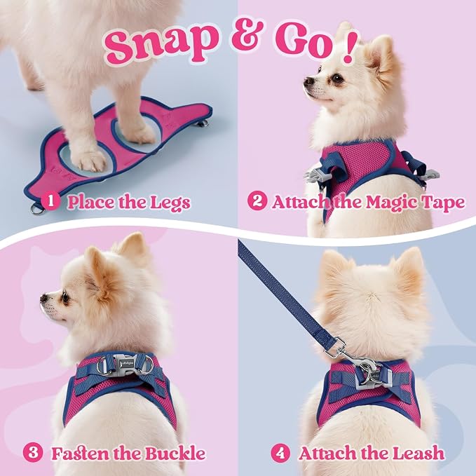 rabbitgoo Dog Harness Small Sized and Leash Set, Step in Soft Vest | Breathable Mesh, Easy Wear with Hook & Loop, Light and Reflective for Walking, Multi-colored, Rose Red & Navy Blue, XS - Image 2