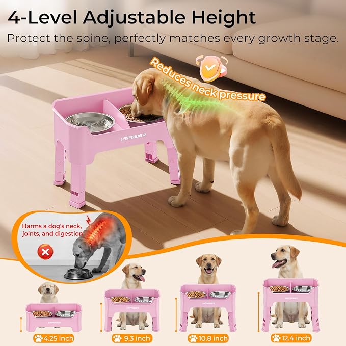 URPOWER Mess Proof Elevated Dog Bowls, Splash Guard Raised Bowl Stand | 4 Adjustable Heights, 2 Stainless Steel Bowls, Food & Water Separation, Foldable Design Non-Slip for Small Medium Large Dogs - Image 6