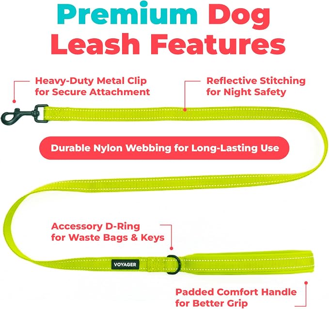 Best Pet Supplies Voyager Nylon Dog Leash - Lime Green, Large | 5ft in Length, 1" in Width, Reflective, Soft Neoprene Handle, Heavy Duty Metal Clips for Running, Walking & Training - Image 2