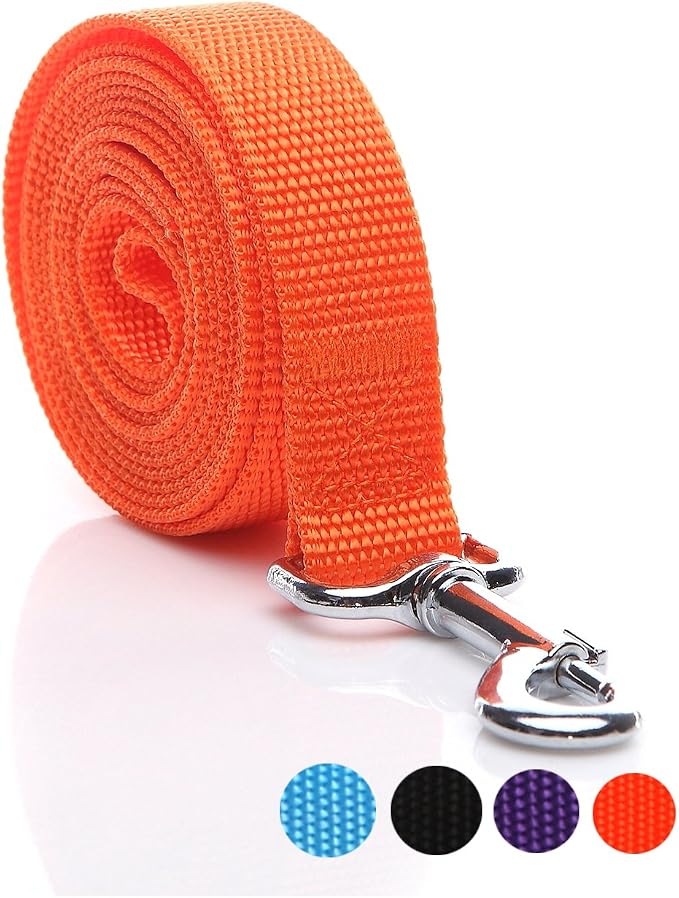 Nylon Dog Leash 4 Ft 5 Feet 6 Foot Long, Walking Training Dog Leashes for Medium Large Dogs, 1 Inch Wide(5ft, Orange) - Image 2