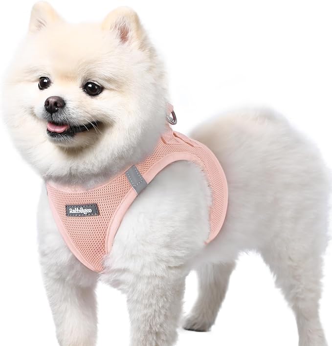 rabbitgoo Step-in Small Dog Harness, Puppy Vest for Small Sized Pet | Easy Put on and off, Lightweight, Soft, Breathable Quick-Dry Air Mesh for Comfortable Secure Walking, Pink S by rabbitgoo