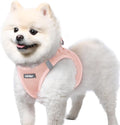 rabbitgoo Step-in Small Dog Harness, Puppy Vest for Small Sized Pet | Easy Put on and off, Lightweight, Soft, Breathable Quick-Dry Air Mesh for Comfortable Secure Walking, Pink S by rabbitgoo