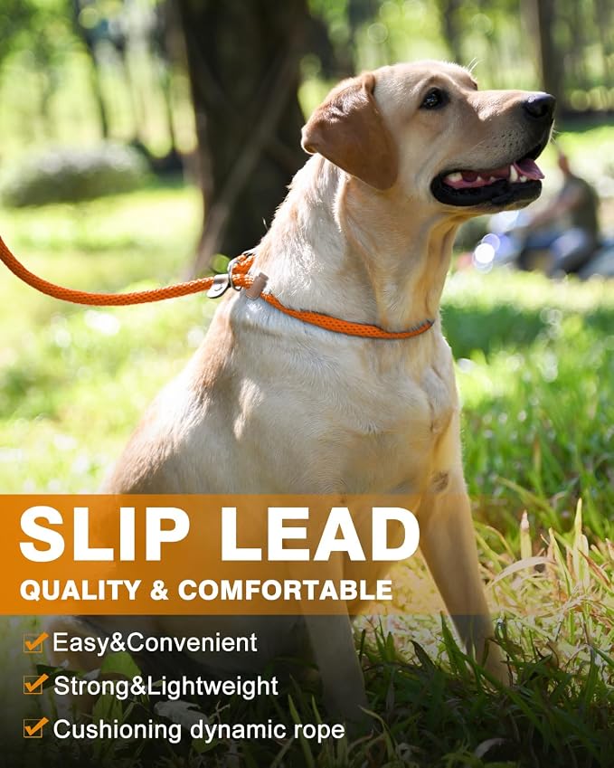 2 Pack Dog Leash Slip Lead Braided Rope Pet Training Loop Leashes 6ft 8ft | Lynxking Strong Heavy Duty 1/2" 3/8", Durable Padded Handle No Pull Basic Training Nylon Lead,Small Medium Large Dogs Puppy - Image 5