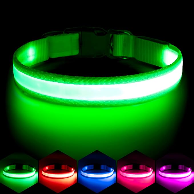 Vizpet LED Dog Collar, Light Up Dog Collar Adjustable USB Rechargeable Super Bright Safety Light Glowing Collars for Dogs(X-Large,Green) by VIZPET