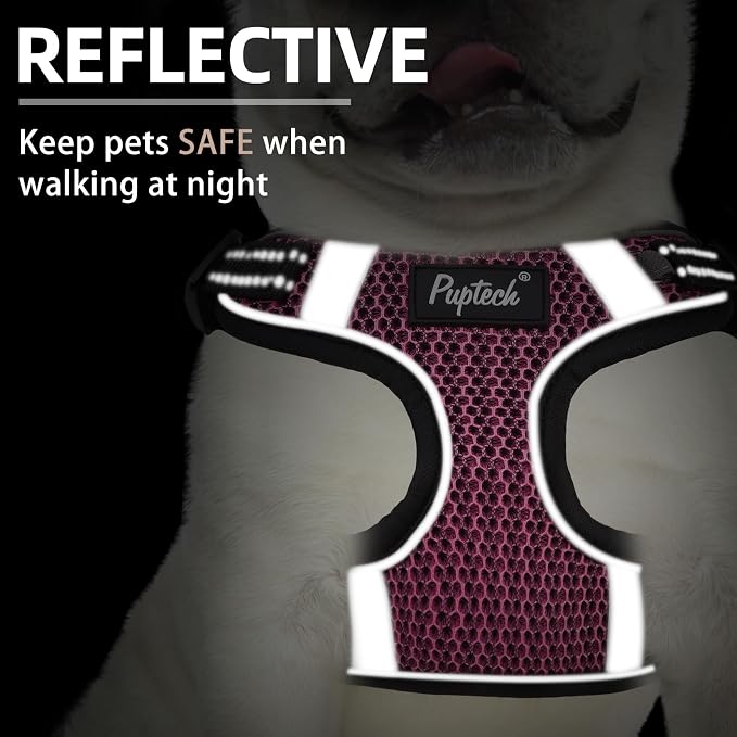 PUPTECK Dog Harness and Leash Set Small Sized, Step in No Pull Adjustable Puppy Cat Harness Reflective Pet Vest - Image 4