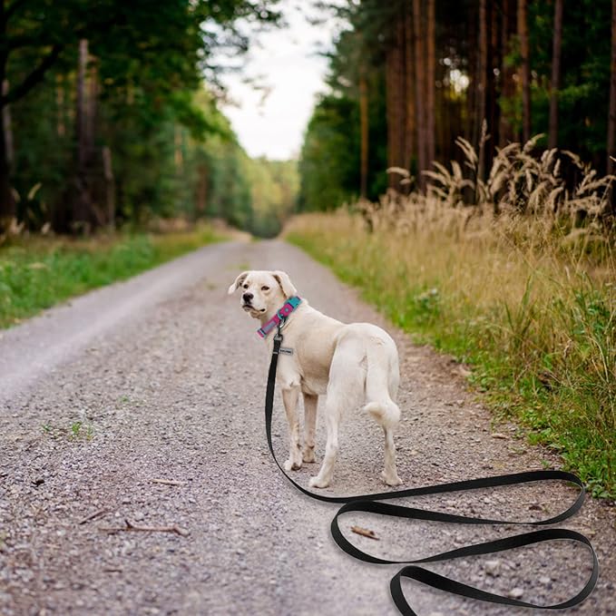 Wolfone Waterproof Dog Leash 20FT Long Line Recall Training Lead | Long Dog Lead PVC coated waterproof leash with easy clean surface strong training rope for recall, hiking and beach trips - Image 6