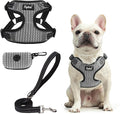 PUPTECK Dog Harness and Leash Set Medium Sized, Step in No Pull Adjustable Puppy Cat Harness Reflective Pet Vest by PUPTECK
