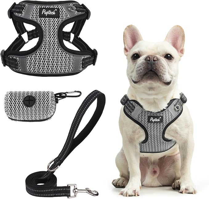 PUPTECK Dog Harness and Leash Set Medium Sized, Step in No Pull Adjustable Puppy Cat Harness Reflective Pet Vest by PUPTECK