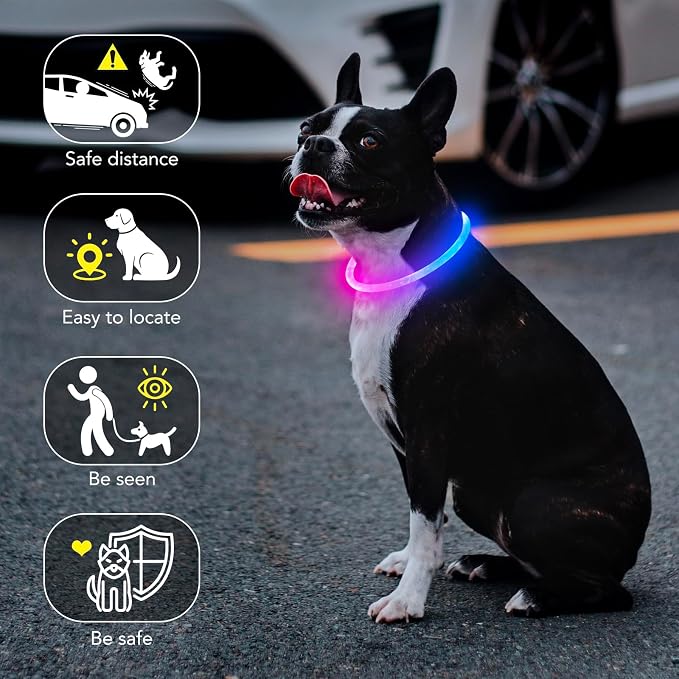 Colaseeme Light Up Dog Collar, USB Rechargeable Glow Necklace, Pink+Blue | Waterproof IP67, Cut-to-Fit TPU, 360° Night Safety, Pet Visibility Light, Camping & Walking, Fits Small-Large Dogs - Image 2
