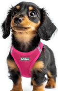 rabbitgoo Step-in Small Dog Harness, Puppy Vest for Small Sized Pet | Easy Put on and off, Lightweight, Soft, Breathable Quick-Dry Air Mesh for Comfortable Secure Walking, Rose Red XXS by rabbitgoo