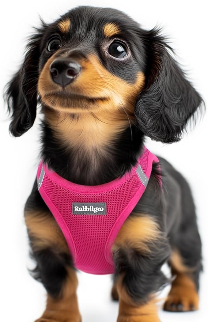 rabbitgoo Step-in Small Dog Harness, Puppy Vest for Small Sized Pet | Easy Put on and off, Lightweight, Soft, Breathable Quick-Dry Air Mesh for Comfortable Secure Walking, Rose Red XXS by rabbitgoo