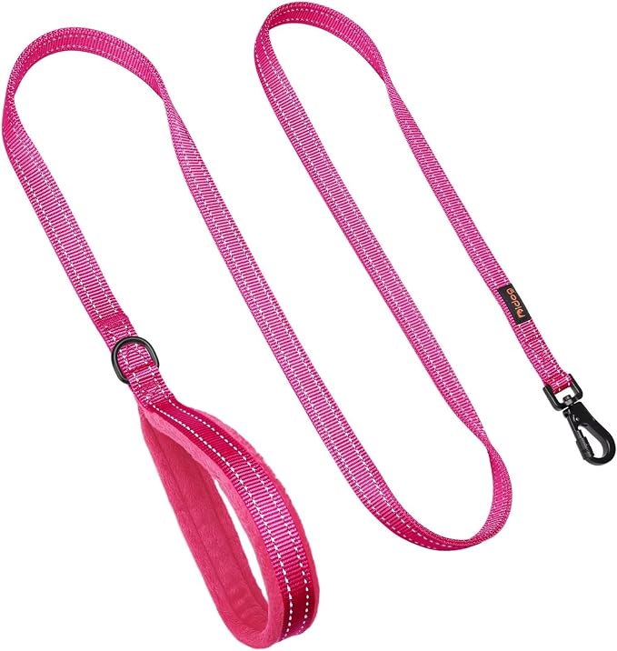 Didog 6FT Reflective Dog Leash for Medium Large Dogs,3/4" Width, Hot Pink | Soft Padded Handle, Plush Comfort Grip, Tangle-Free, 360°Heavy-Duty Strengthened Clasp for Daily Walks/Training, Night Safety - Image 4