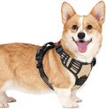 rabbitgoo Dog Harness Small Sized, Updated Easy On & Off with 3 Buckles | No Pull No Choke, Walking with 2 Clips and Handle, Adjustable Soft Reflective, Beige, Small by rabbitgoo