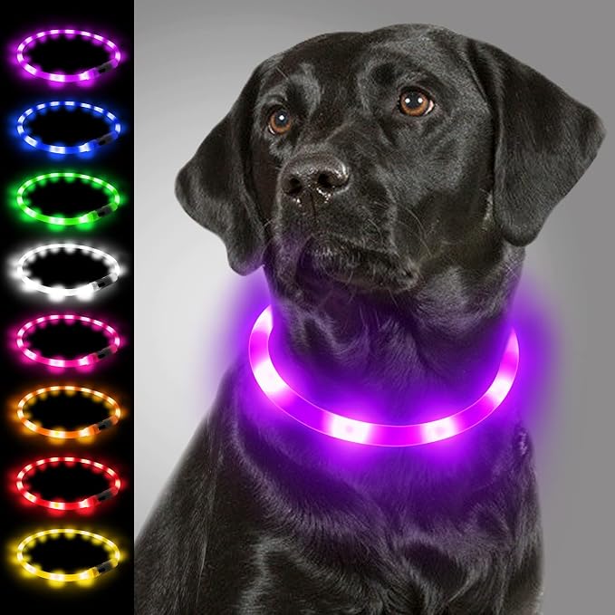 Joytale Light Up Dog Collar, LED Silicone Cut-to-Fit Rainproof, Purple | Soft Skin-Friendly Won't Chafe, 360° Glow Keeps Dogs Visible at Night, 3 Modes, Rechargeable USB-C, Small Medium Large Dogs by Joytale