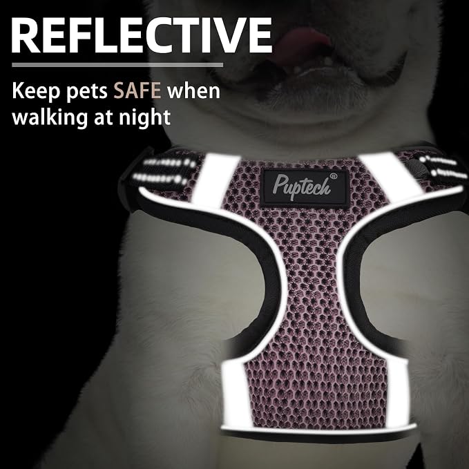 PUPTECK Dog Harness and Leash Set Small Sized, Step in No Pull Adjustable Puppy Cat Harness Reflective Pet Vest - Image 4