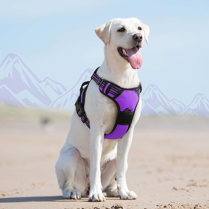 Eagloo Dog Harness for Large Dogs, No Pull Pet Vest with 2 Leash Clips | No Choke with Handle, Adjustable Comfort Fit, Reflective Strips, Easy Walking Control, Purple, Large - Image 8