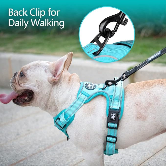 PoyPet No Pull Dog Harness, Reflective Vest with 2 Leash Clips & Handle | Lockable Neck Release Buckle, No Choke, Adjustable, Soft Padded, for Walking Training, Mint Blue Matching Trim, Large - Image 4