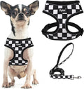 PUPTECK Small Dog Harness and Leash Set No Pull for XS XXS Sized Dogs Puppy | Escape Proof No Choke Pet Cat Adjustable Soft Padded Walking Vest by PUPTECK