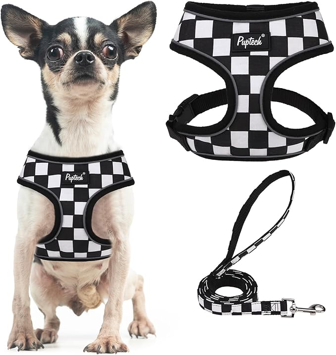 PUPTECK Small Dog Harness and Leash Set No Pull for XS XXS Sized Dogs Puppy | Escape Proof No Choke Pet Cat Adjustable Soft Padded Walking Vest by PUPTECK