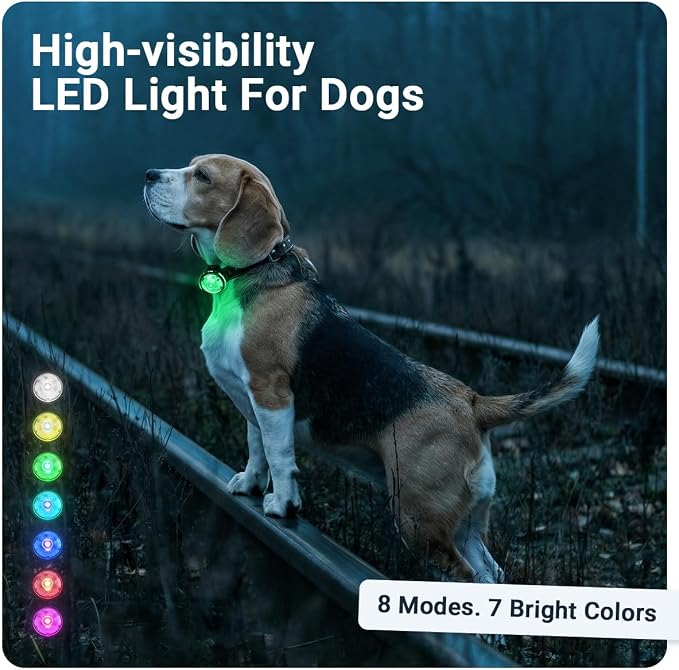 PAJ MINI Clip-On LED Dog Collar Light | USB Rechargeable - Waterproof - 7 Bright Colours - 8 Light Modes - Fit any Collar by PAJGPS
