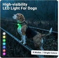 PAJ MINI Clip-On LED Dog Collar Light | USB Rechargeable - Waterproof - 7 Bright Colours - 8 Light Modes - Fit any Collar by PAJGPS