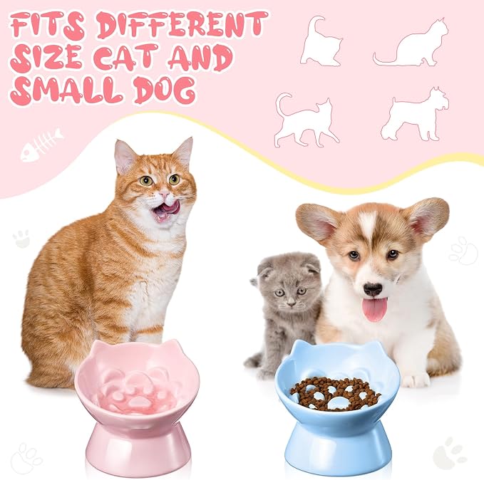 Funnymoom 2 Pcs Ceramic Raised Slow Feeder Cat Bowl, 5.91inch Elevated Cat Slow Feeder Bowl Tilted Anti Vomiting for Dry Wet Food and Water Easy to Clean High Edge(Pink, Blue) - Image 5