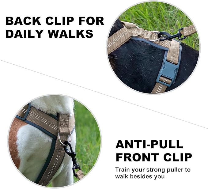Plutus Pet No Pull Dog Harness, Adjustable Nylon Harness with Soft Padding | Reflective with Front Clip, Heavy Duty for Training and Walking, for Small Medium Large Dogs, Beige, XS - Image 4