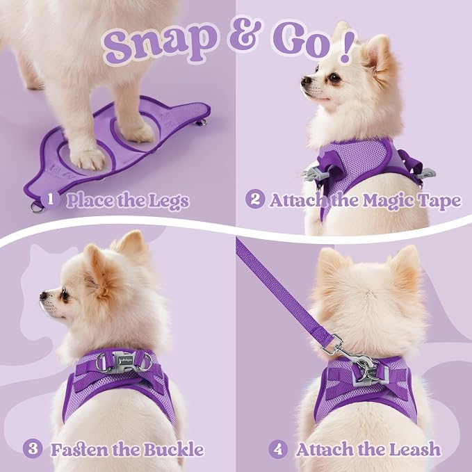 rabbitgoo Dog Harness Small Sized and Leash Set, Step in Soft Vest | Breathable Mesh, Easy Wear with Hook & Loop, Light and Reflective for Walking, Multi-colored, Light Purple & Purple, M - Image 2