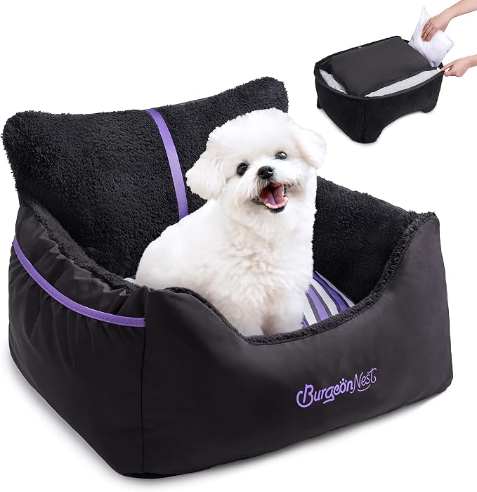 BurgeonNest Dog Car Seat for Small Dogs & Cats Under 25 lbs, Black Purple by Lifelongfriendsbelovedfamily