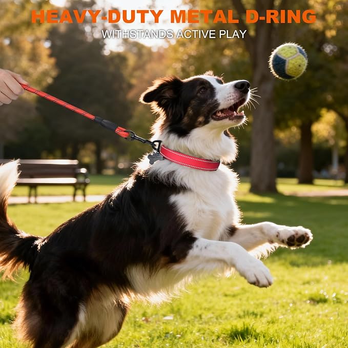 Taglory Reflective Dog Collar for Medium Dogs, Soft and Safe for Daily Walk | Soft Neck Cushioning, Adjustable 14-20 in, Sturdy Webbing Withstands Strong Pullers, Zinc Alloy D-Ring for Leash and ID Tags - Image 6