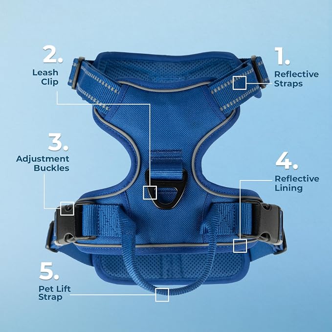 Voyager Dual Attachment No Pull Harness - Royal Blue, X-Small | 13 - 16" in Chest, No Pull Dog Harness, Fully Adjustable, 3M Reflective Technology, Front & Back D-Rings, Walking & Training - Image 2