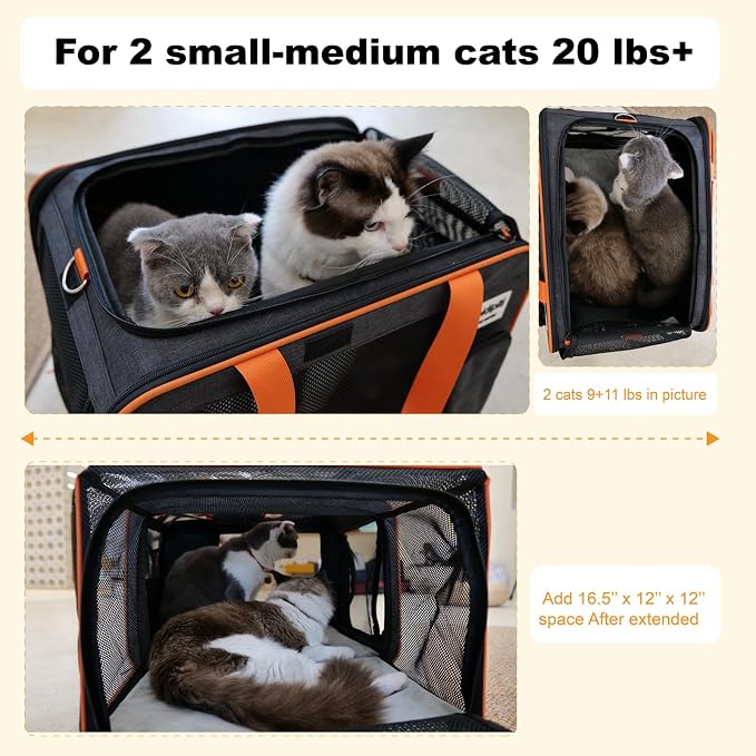 pidipiti 20x14x14 Expandable Large car Carrier for 1 Large /2 Medium Cats | pet Crate for Short Trip or Long road Travel,with zipper lock,pockets,good Visibility,leakproof. - Image 3