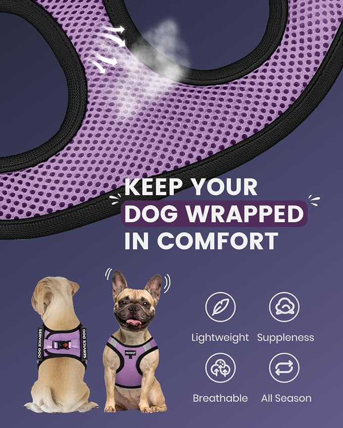 FAYOGOO Service Dog Vest Set for Small Dogs, Mesh Harness and Leash | Lightweight step-in vest with leash and removable identification patches; measure neck and chest before choosing a size - Image 2