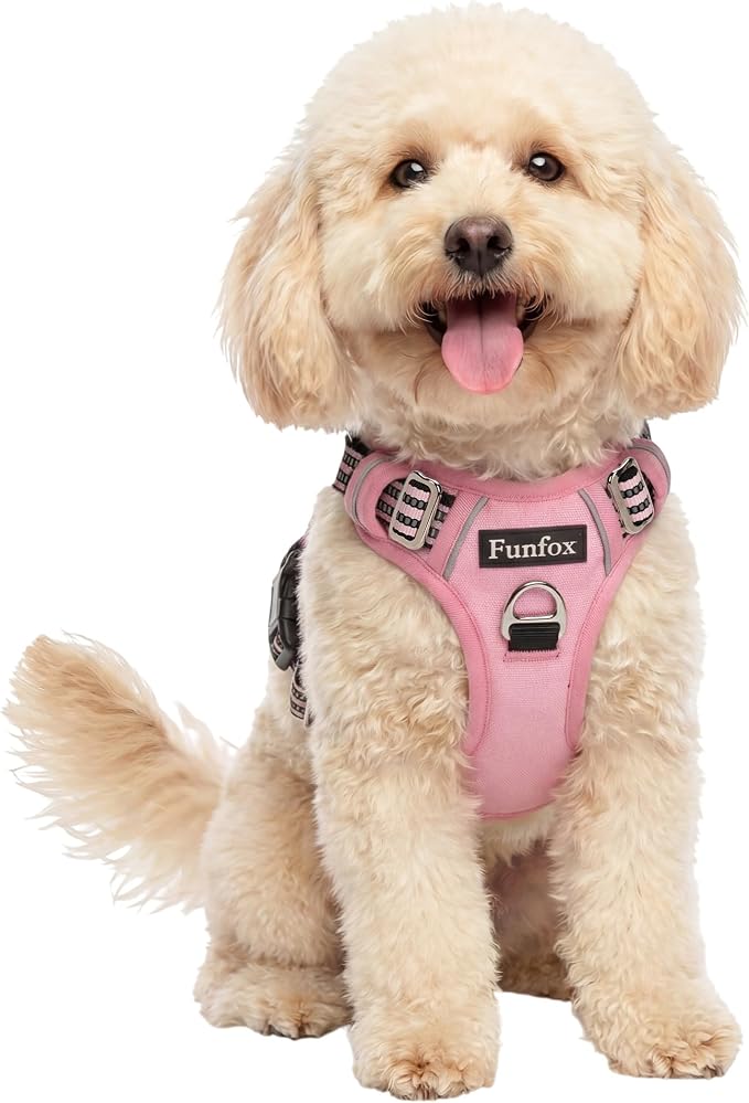 Dog Harness No Pull, Adjustable Pet Vest Harness, Super Soft Material with Vertical Handle Easy Control, Reflective Night Walking, 2 Leash Clips for Small Sized Dogs, Pink, S by MyFUNFOX