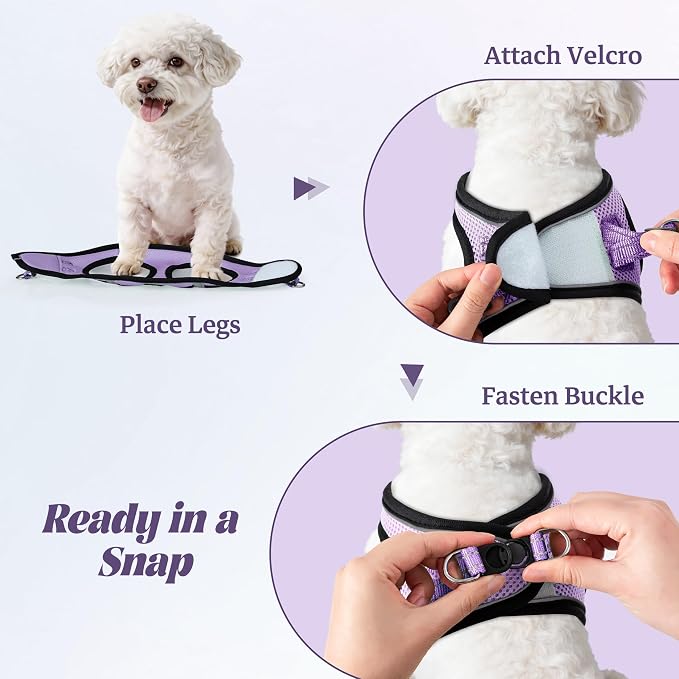 No Pull Dog Puppy Harness and Leash Set Reflective Mesh Vest Small - Image 4