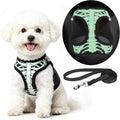 KOOLTAIL Halloween Dog Harness and Leash Set for Small Medium Dogs,Step in No Pull Soft Mesh Comfort Padded Pet Vest Harness,Glow-in-Dark Skeleton Design Easy Walking Puppy&Cat Harness for Holiday M by KOOLTAIL