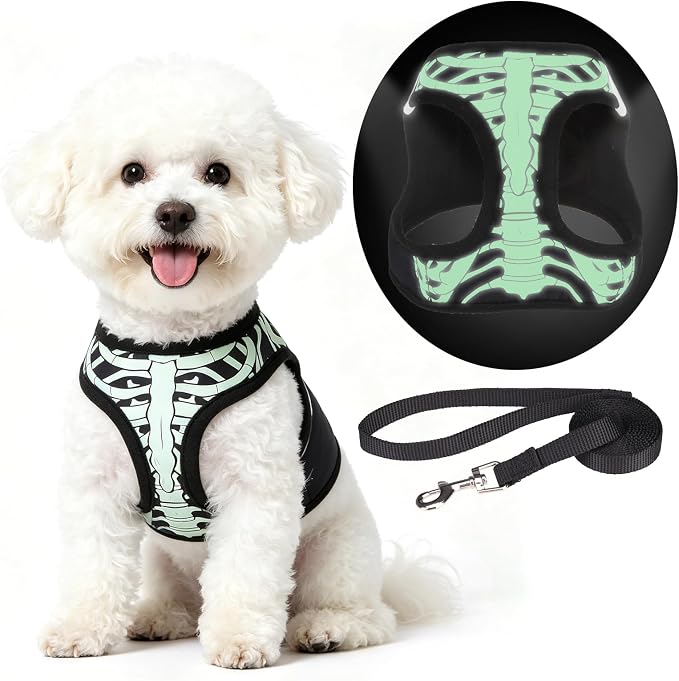 KOOLTAIL Halloween Dog Harness and Leash Set for Small Medium Dogs,Step in No Pull Soft Mesh Comfort Padded Pet Vest Harness,Glow-in-Dark Skeleton Design Easy Walking Puppy&Cat Harness for Holiday M by KOOLTAIL