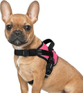 rabbitgoo Dog Harness for Small, Easy On Pet Vest with One Buckle, No Pull Adjustable Service Harness with D-Ring & Handle, Reflective for Safety Walking, Training, Pink, S by rabbitgoo