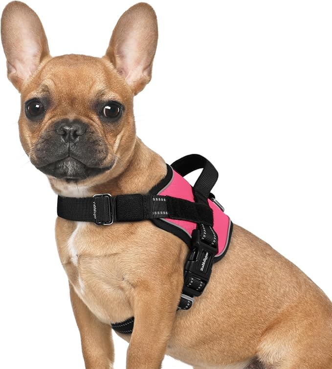 rabbitgoo Dog Harness for Small, Easy On Pet Vest with One Buckle, No Pull Adjustable Service Harness with D-Ring & Handle, Reflective for Safety Walking, Training, Pink, S by rabbitgoo