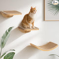 Cat Wall Shelves, Cat Window Perches with Curved Bed & 2 Sisal Mat Steps | Cat Window Perches with Beige Curved Bed & 2 Floating Steps for All Breeds, 3-in-1 Cat Wall Set for Climbing & Lounging by PELUOMOZ