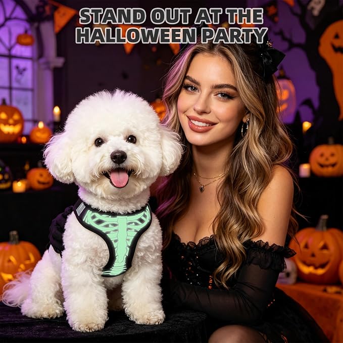 KOOLTAIL Halloween Dog Harness and Leash Set for Small Medium Dogs,Step in No Pull Soft Mesh Comfort Padded Pet Vest Harness,Glow-in-Dark Skeleton Design Easy Walking Puppy&Cat Harness for Holiday M - Image 3