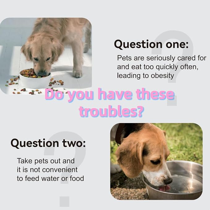 Collapsible Dog Bowls for Travel, Portable Dog Food & Water Bowls Set, Foldable Silicone Puppy Bowls, Cute Lightweight Compact Pet Travel Accessories Essentials Grey - Image 2