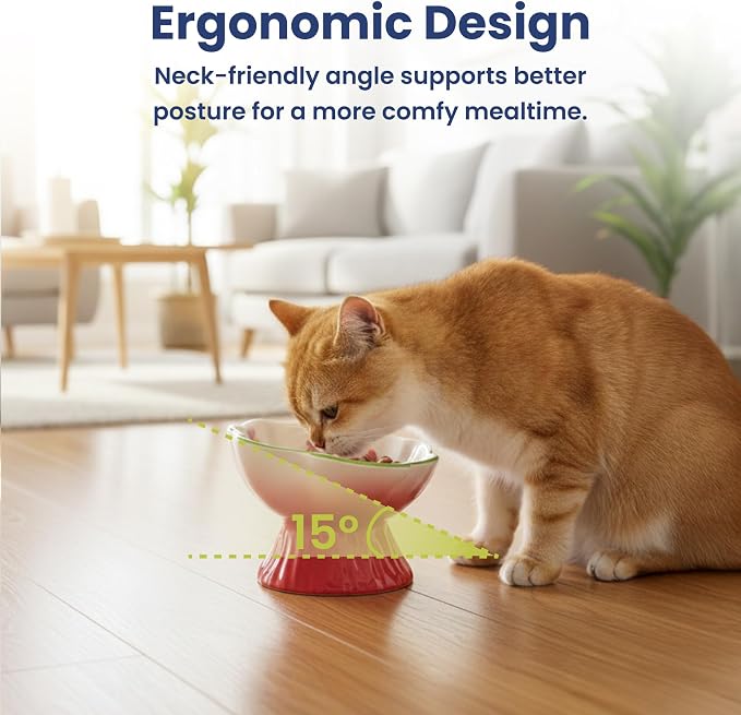 Strawberry Blooms Elevated Ceramic Cat Bowl, Red | Raised Cat Food Bowl with 15° Tilt, Whisker-Friendly Pet Feeding Bowl, Anti-Choking Dish, Dishwasher Safe - Image 3