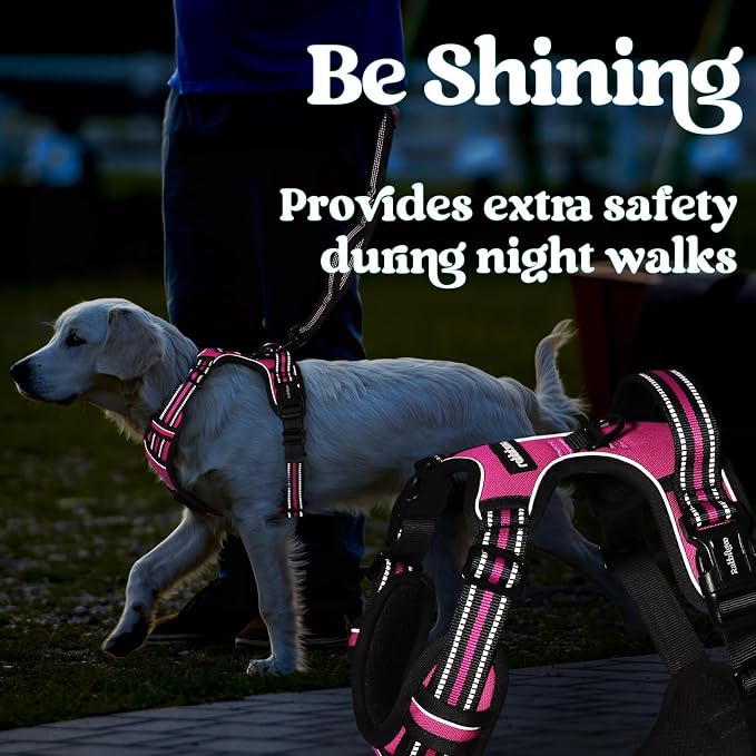 rabbitgoo Dog Harness for Large, Updated Easy On & Off with 3 Buckles | No Pull No Choke, Walking with 2 Clips and Handle, Adjustable Soft Reflective, Rose Pink, X-large - Image 8
