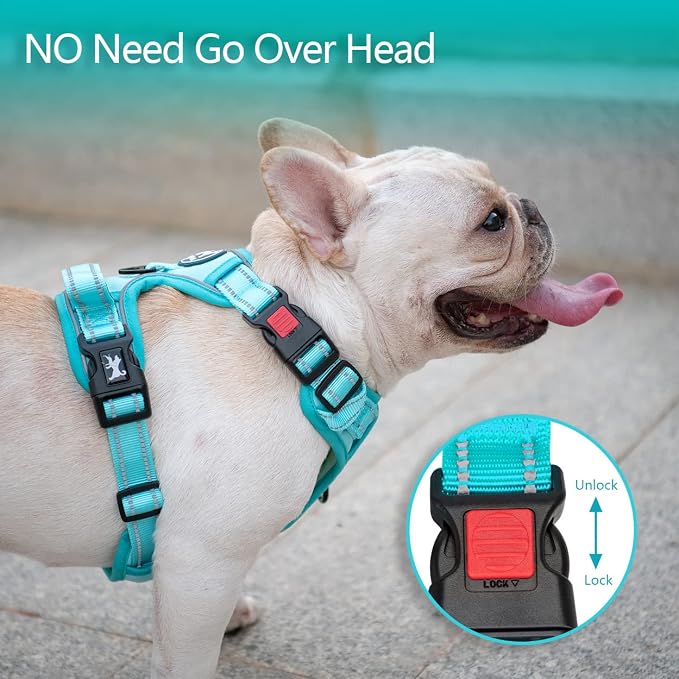 PoyPet No Pull Dog Harness, Reflective Vest with 2 Leash Clips & Handle | Lockable Neck Release Buckle, No Choke, Adjustable, Soft Padded, for Walking Training, Mint Blue Matching Trim, Large - Image 2