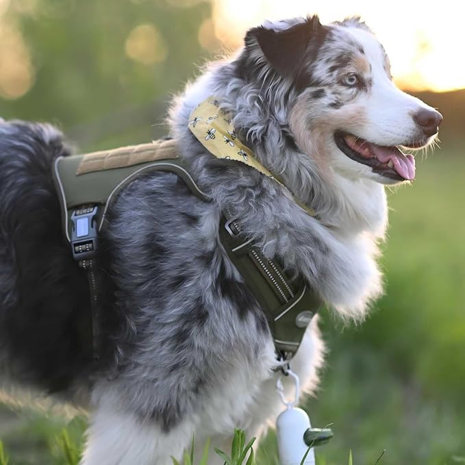 AUROTH Tactical Dog Harness for Large Dogs No Pull Adjustable Pet Harness Reflective K9 Working Training Easy Control Pet Vest Military Service Dog Harnesses | No Choke, Heavy Duty, Reflective, Military K9, Adjustable, Handle, Easy Control for Walking,... - Image 6