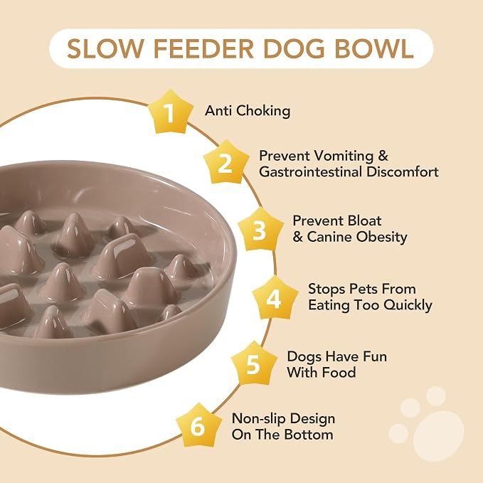 Havniva Dog Bowls Slow Feeder, Ceramic Slow Feeder Dog Bowls for Fast Eater | 1.6 Cups Dog Food Bowl Puzzle Feeder, Slow Feeding Bowls for Medium Breed, Non-Slip Base, Anti-Choking - Image 6