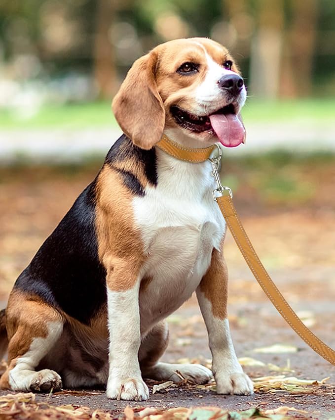 Taglory Reflective Dog Leash for Small Dogs, 3/4in x 4ft, Tan | Ideal for Night Walking, Strong for Sudden Pulls, Lightweight & Gentle on the Neck, Soft Padded Handle - Image 6