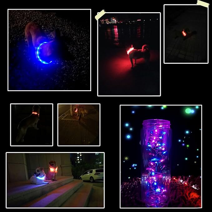 LED Dog Collar,USB Rechargeable Glowing Dog Collars, Light Up Collar Improved Pet Safety &Visibility at Night, 3 Flashing Modes,Water-Resistant Lighted Collar Fits for Small Medium Large Dogs - Image 6